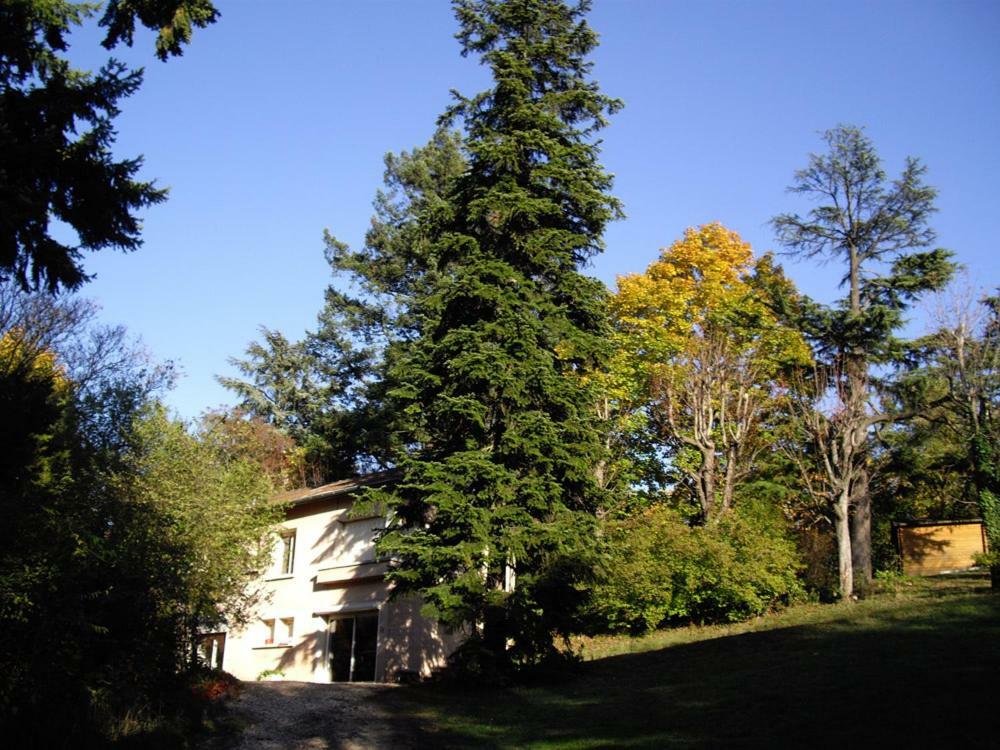 Villa Castel Maison Meublee Lyon Zewnętrze zdjęcie